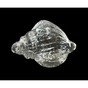 Vintage Conch Sea Shell Clear Glass Art Paperweight 5"